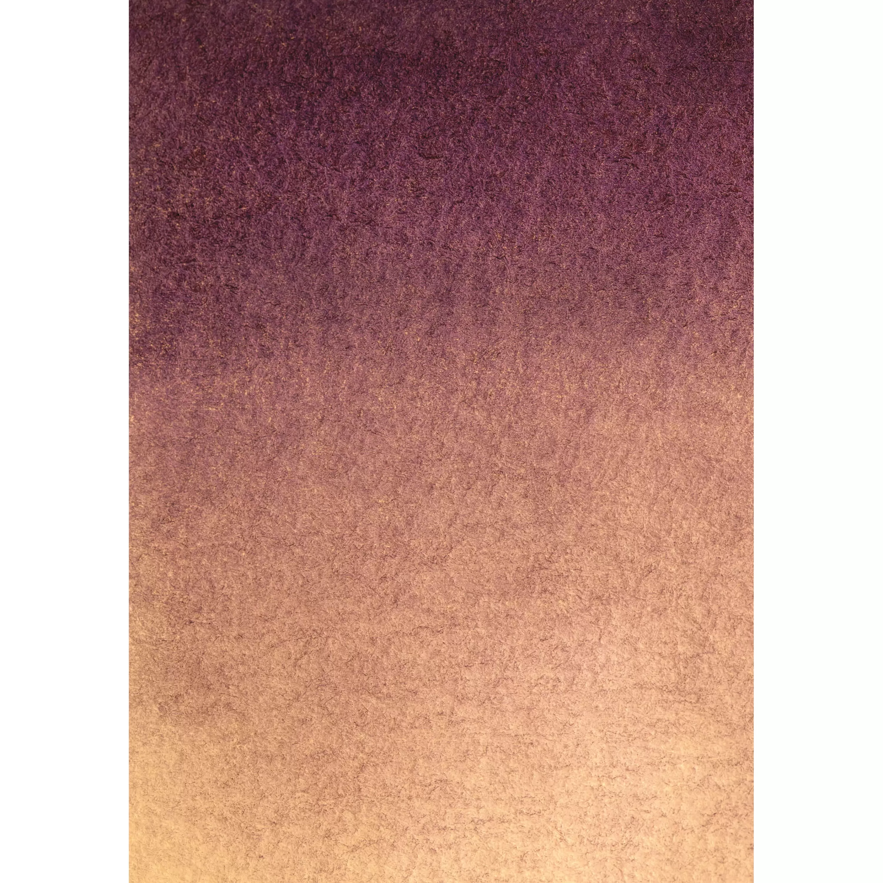 Best Sale Bresser Hintergrundstoff mit Fotomotiv 80 x 120 cm - Lila Beige