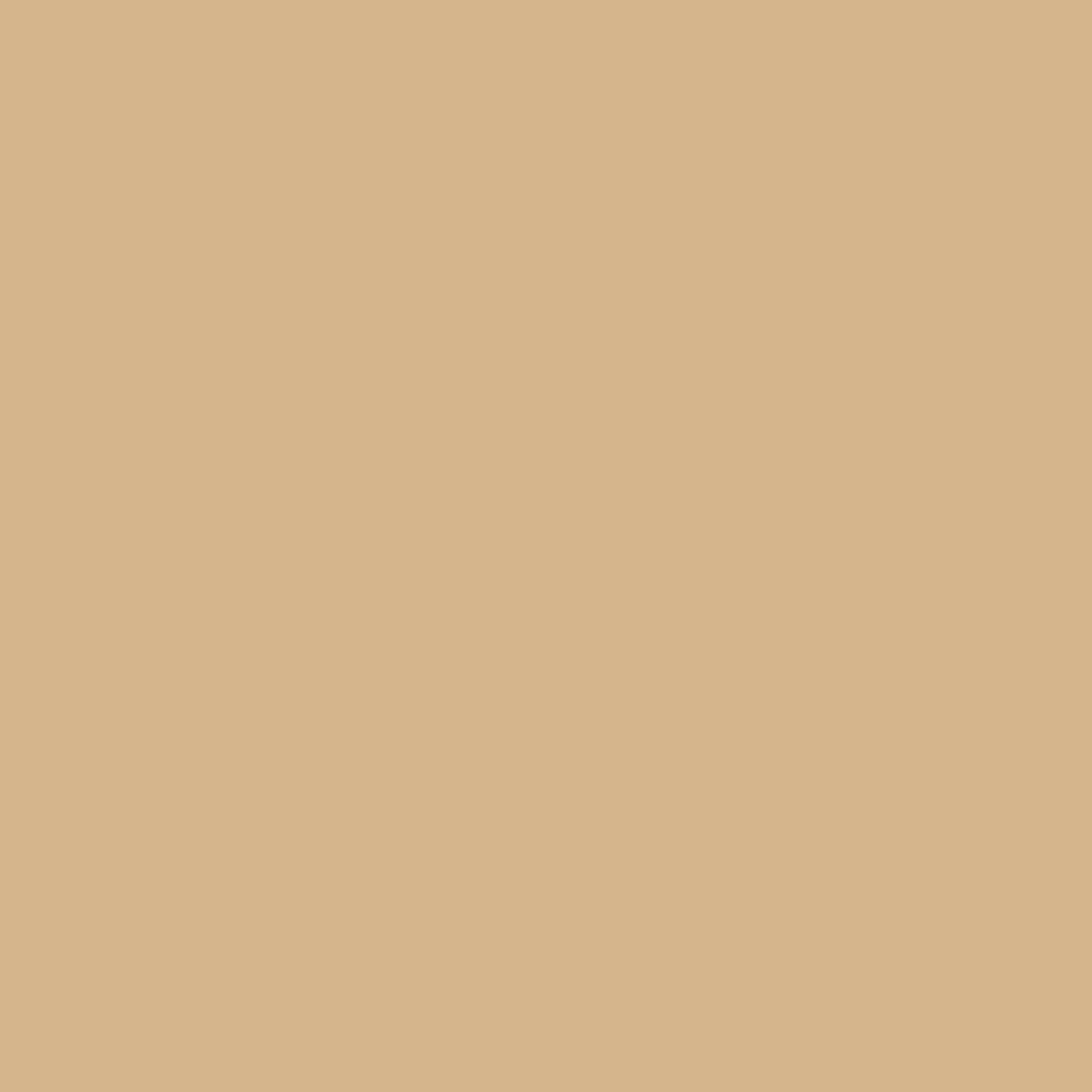 Best Bresser SBP15 Papierhintergrundrolle 2,00 x 11m Beige