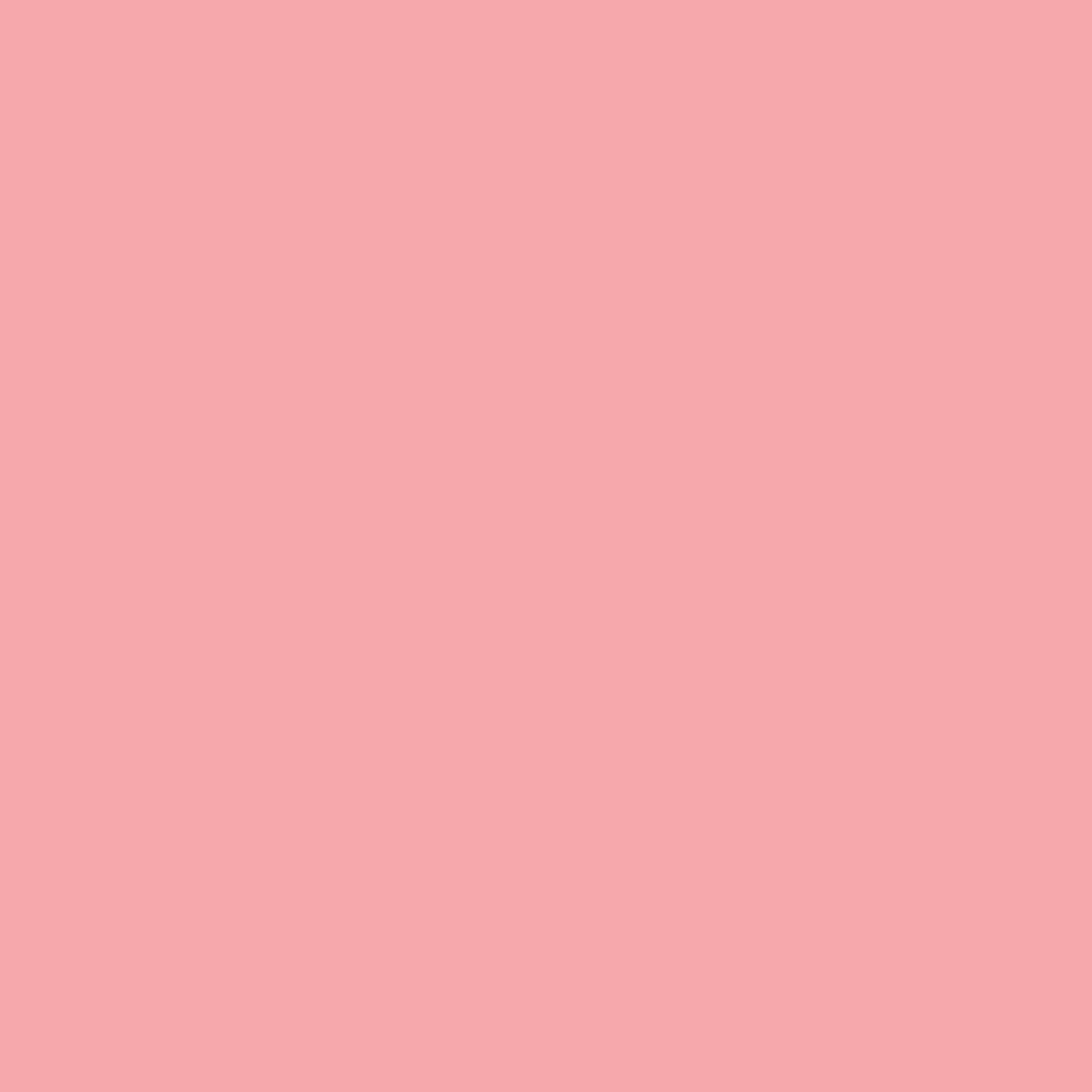 Cheap Bresser SBP12 Papierhintergrundrolle 2,72 x 11m Rosa